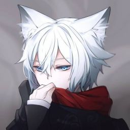 WolfPyxl avatar