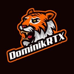 DominikRTX avatar
