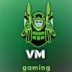 vm_gaming avatar