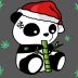 panda175 avatar