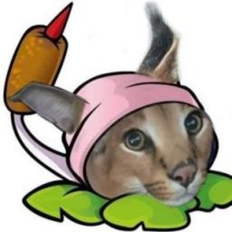 dumbreiko avatar