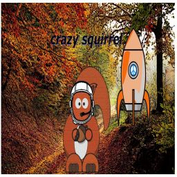 CrazySquirrel avatar