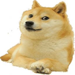 Doge220 avatar