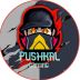 pushkal_gaming avatar