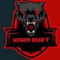 kara_kurt avatar