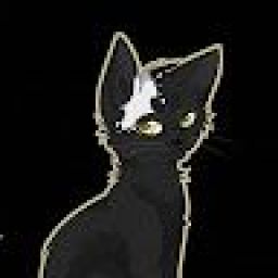 black_cat21 avatar