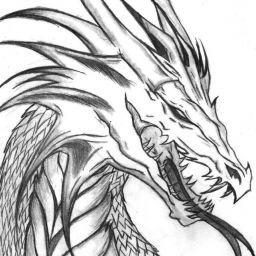 dragonsareamazing avatar