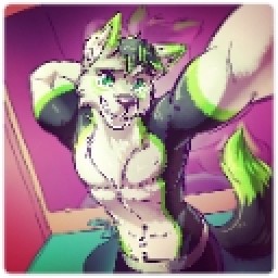 Foxyhumpreywolf avatar